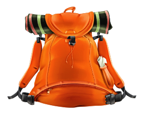 bag