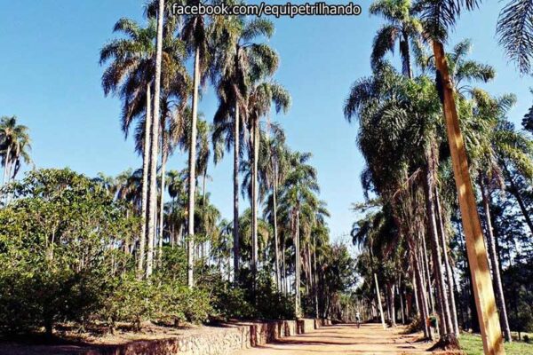 Fazenda NS Conceição