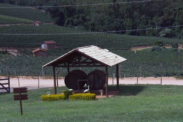 Micheletto