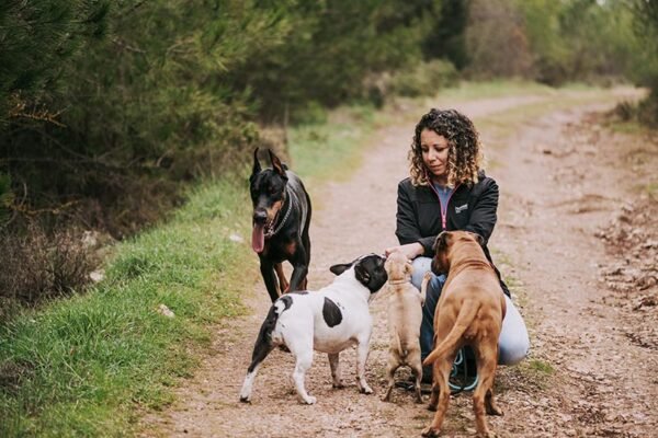 pets_5