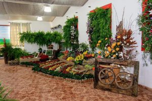 FESTA DO MORANGO DE ATIBAIA E JARINU 2025 COM DEGUSTAÇÃO DE MORANGOS NA ROÇA