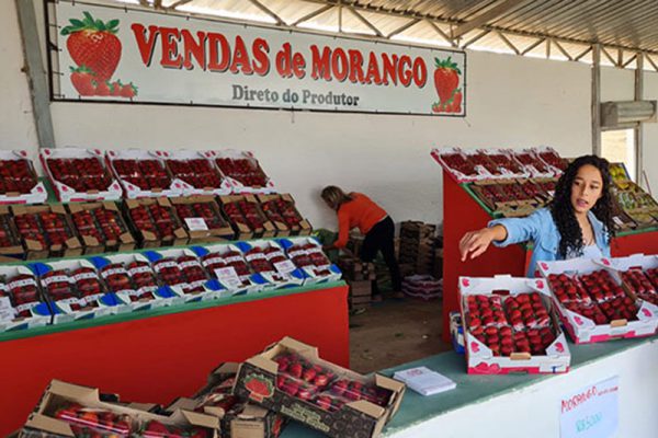 festa_morango_jarinu_3A