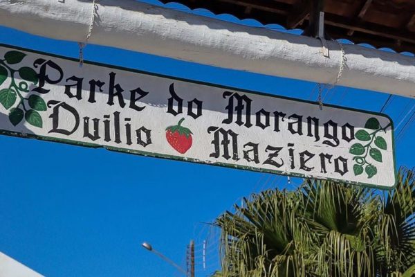 festa_morango_jarinu_6A