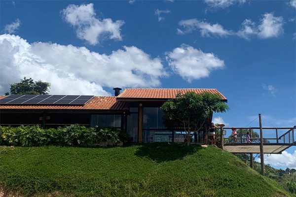 haras_raiz_10a