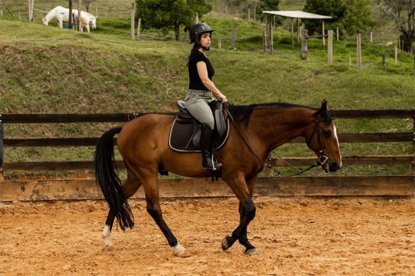 haras_raiz_3a