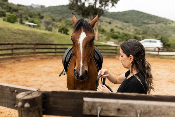haras_raiz_4AA