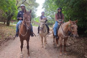 PASSEIO A CAVALO NA FAZENDA RAIZ - 45 MINUTOS