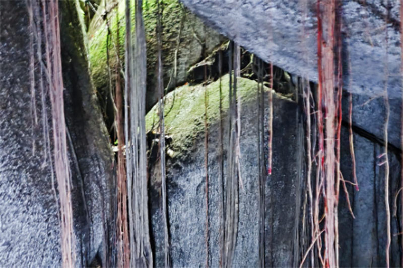 mairipora_1B mairipora_1B