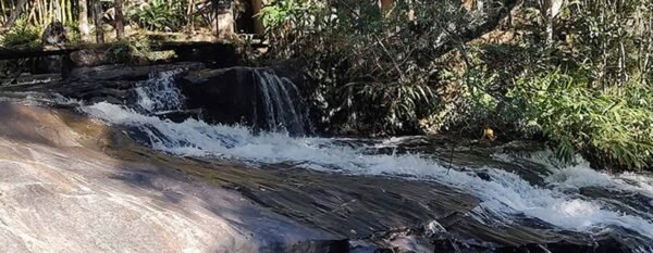 IMG_20260702_154601017_HDR_header IMG_20260702_154601017_HDR_header